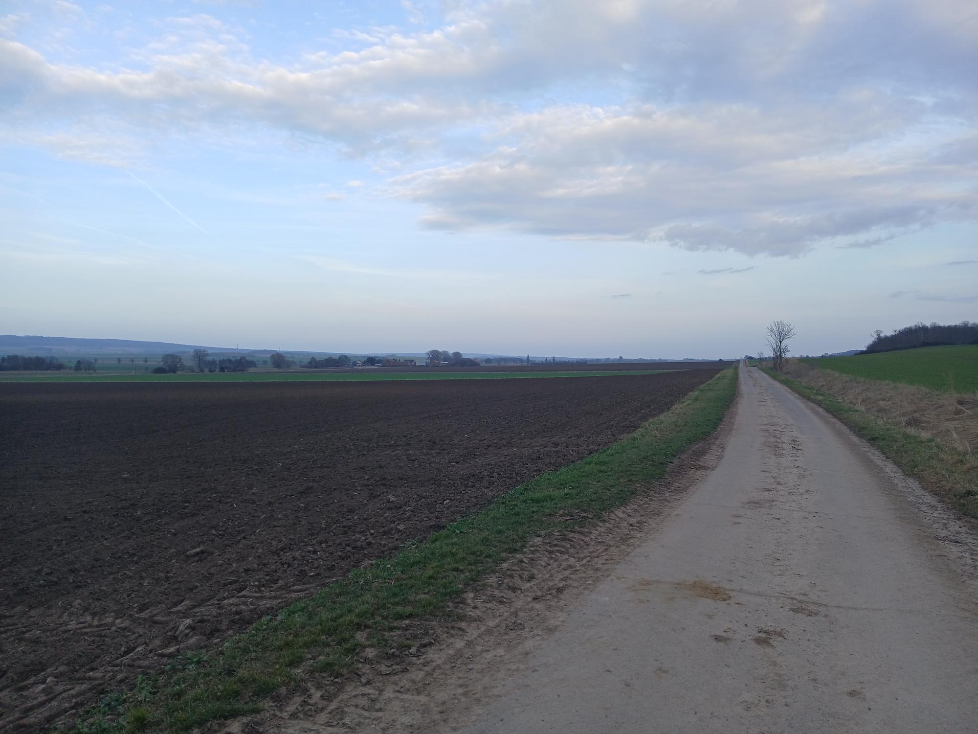 

AI generated caption: Dirt road dividing plowed farm fields under cloudy sky.