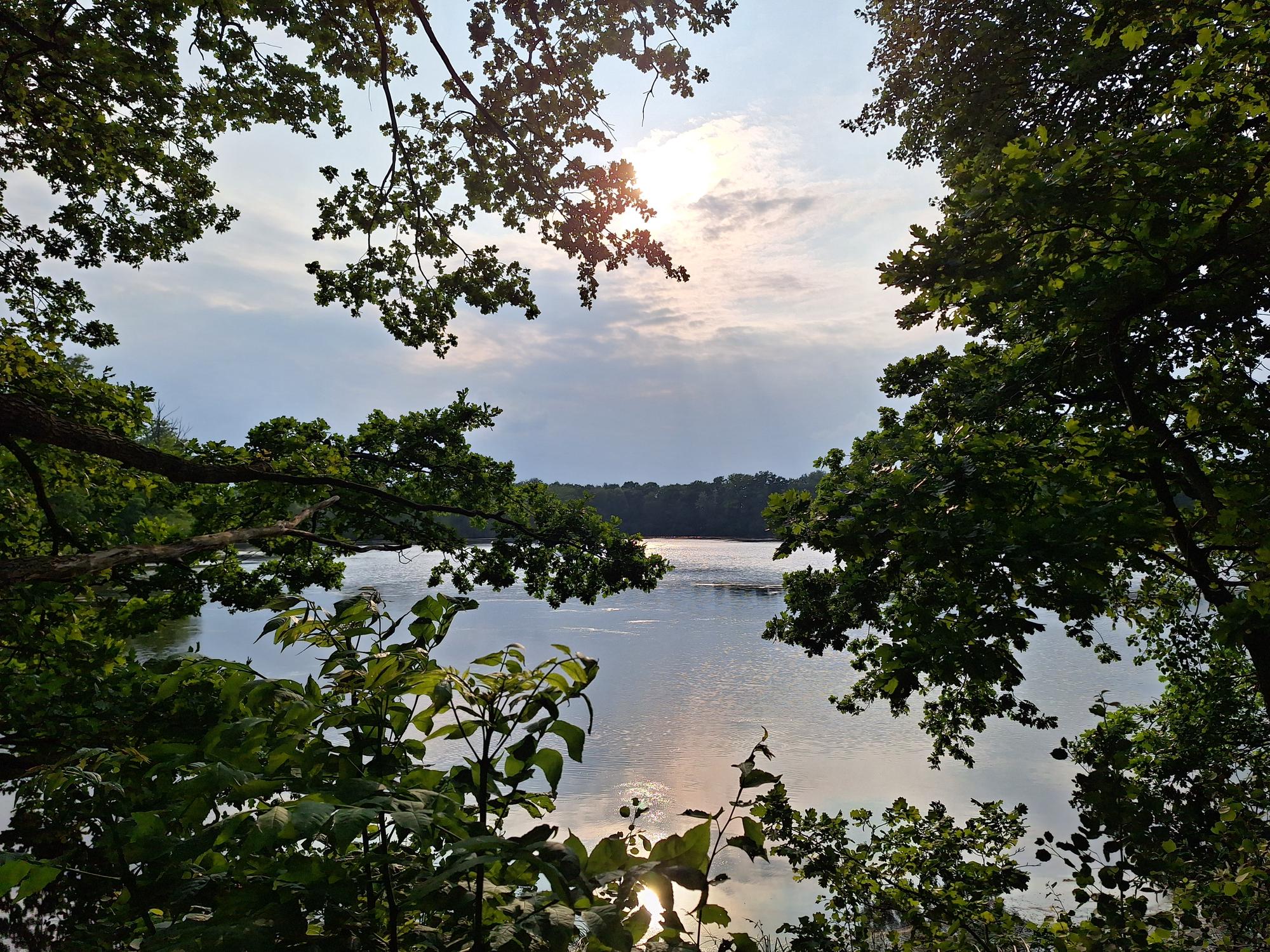 

AI generated caption: Calm river surrounded by trees at sunset.