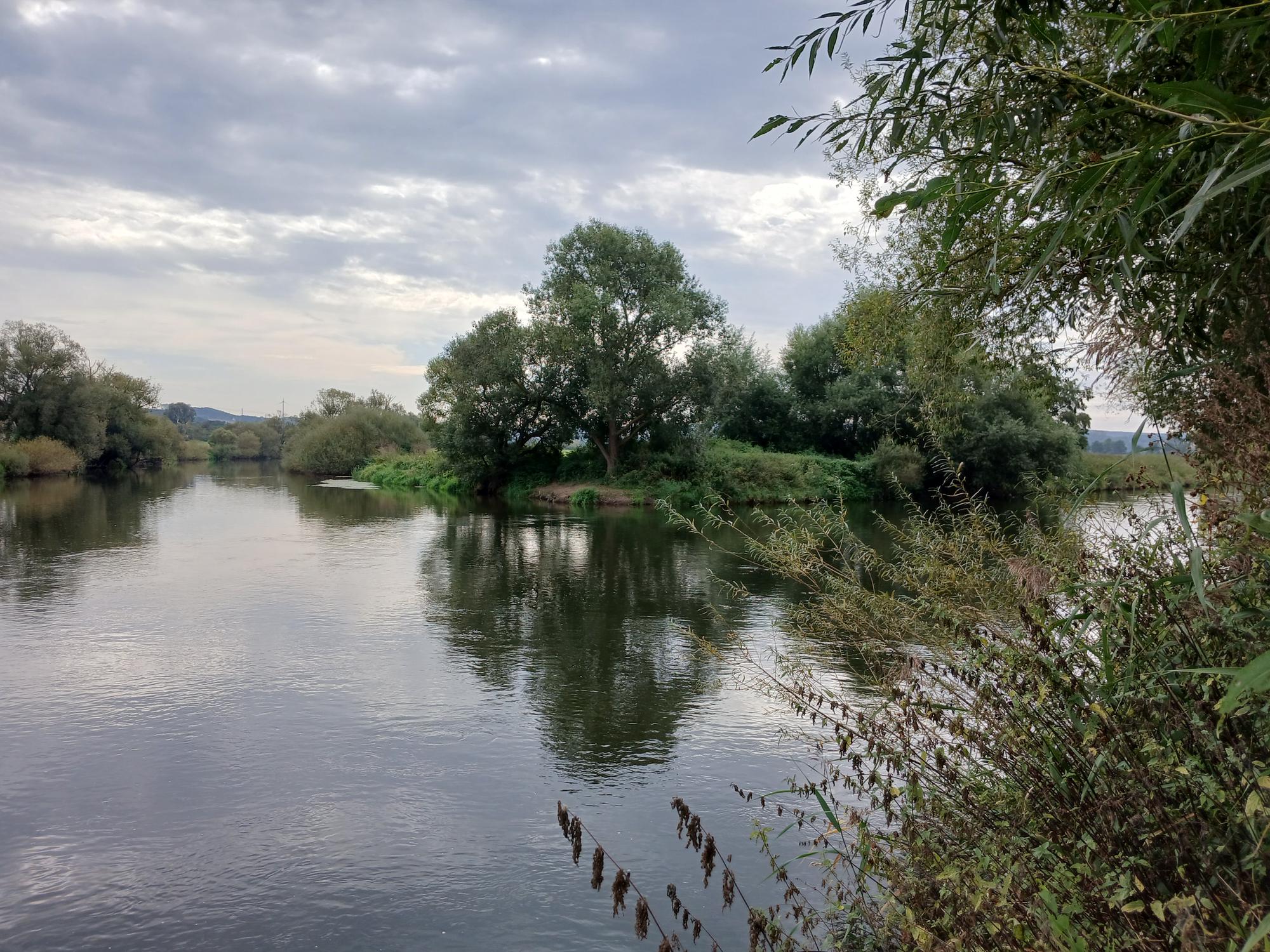 The mouth of the Eder into the Fulda
