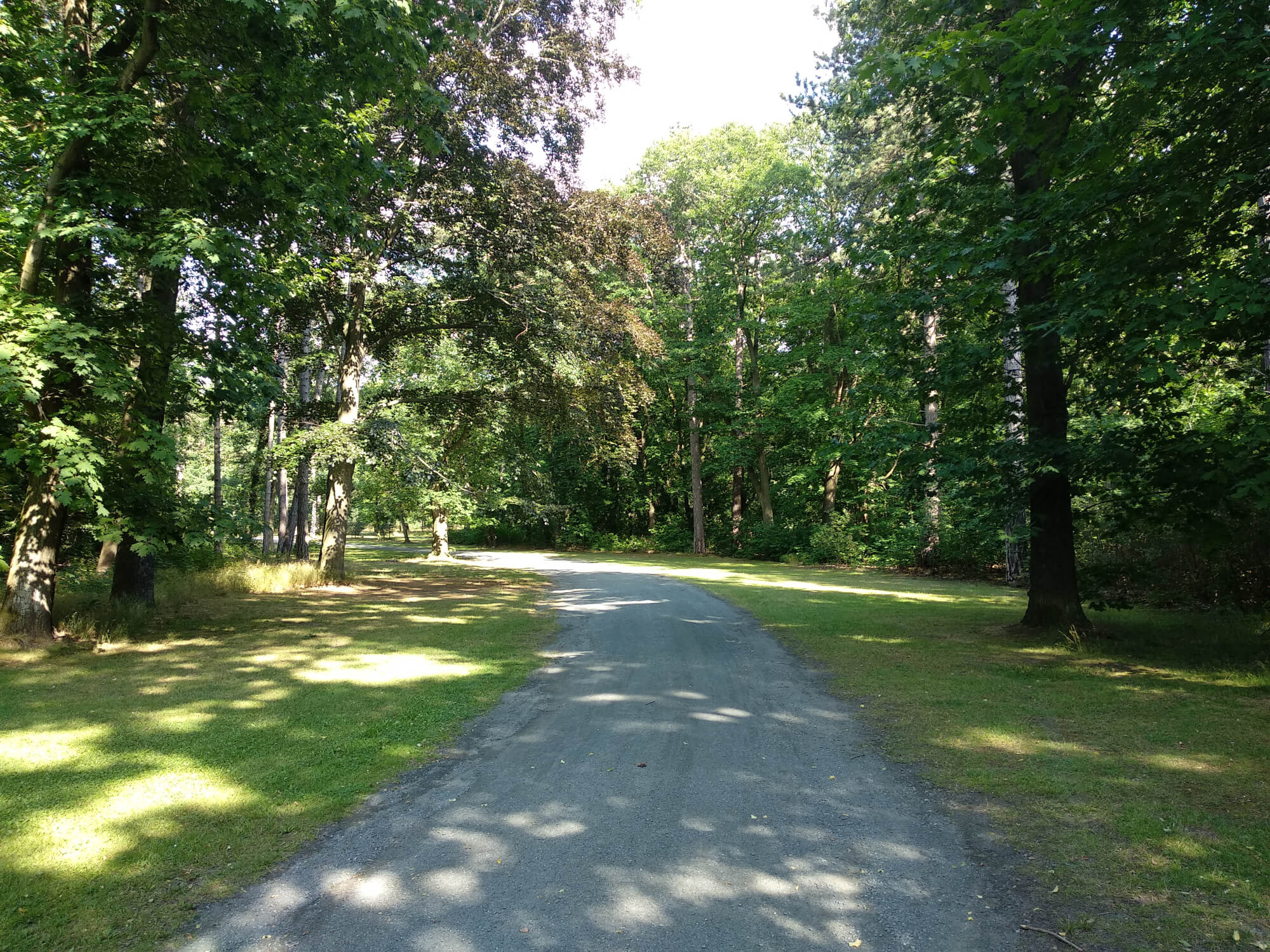 A path through the park