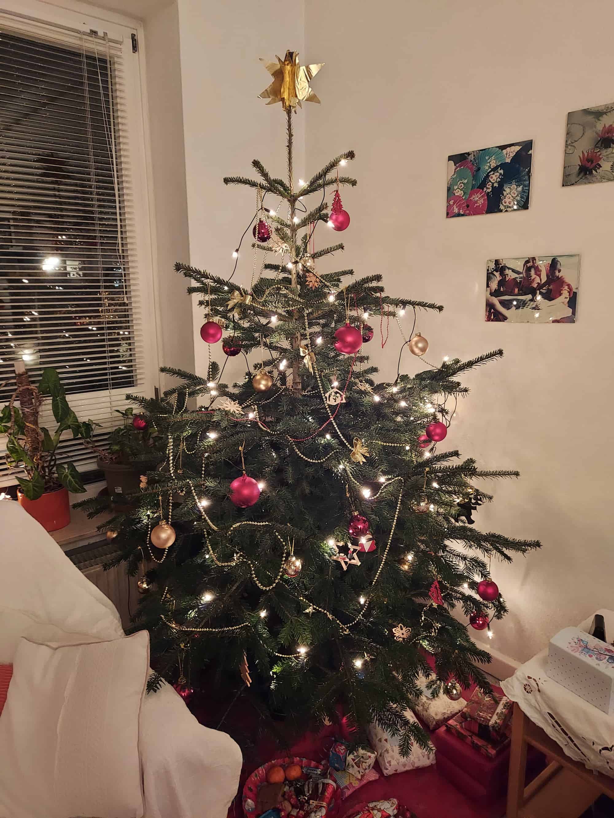 Our Christmas tree