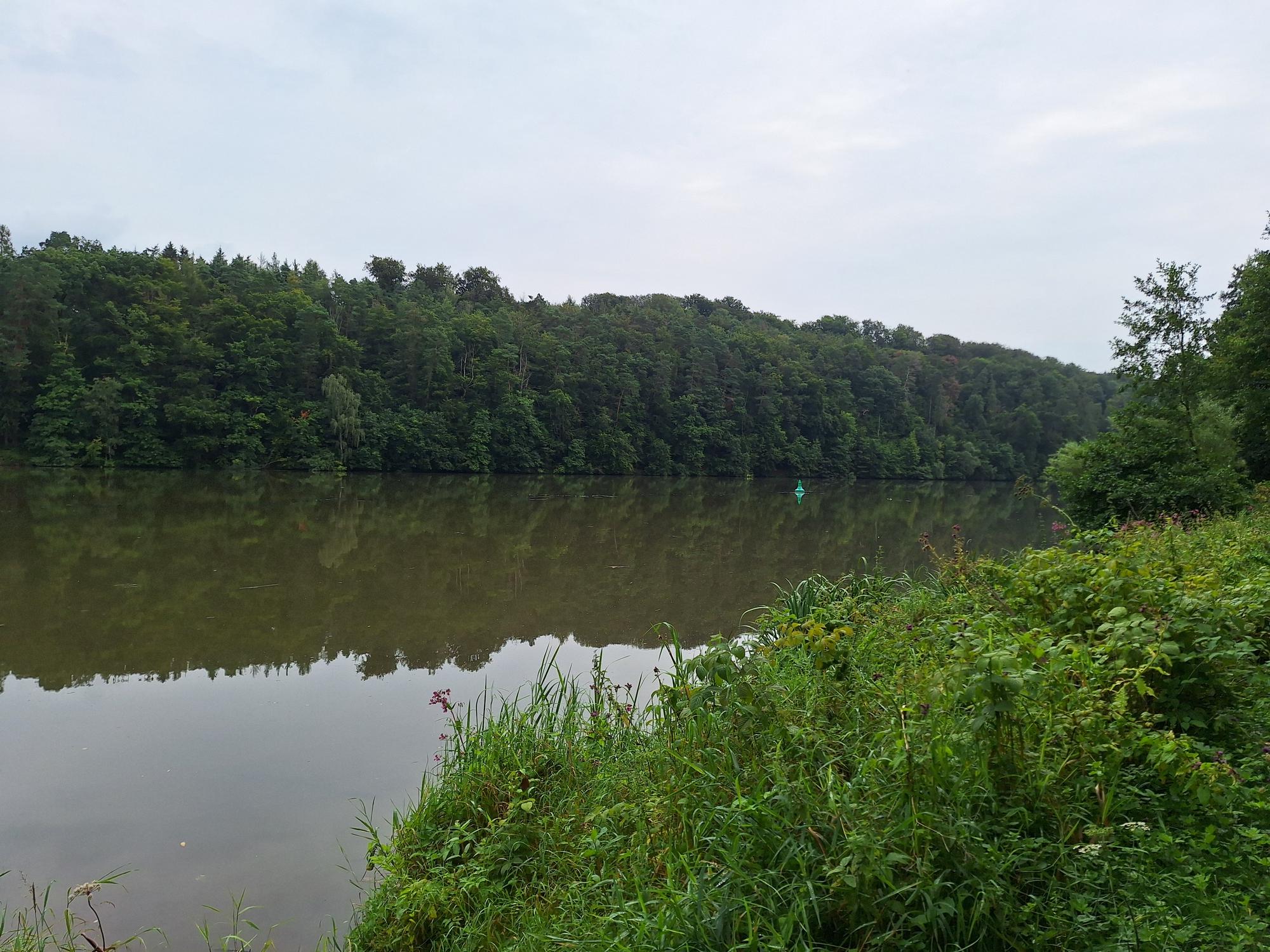 A view on the river Fulda on my way. The water reflects the trees next to the river.