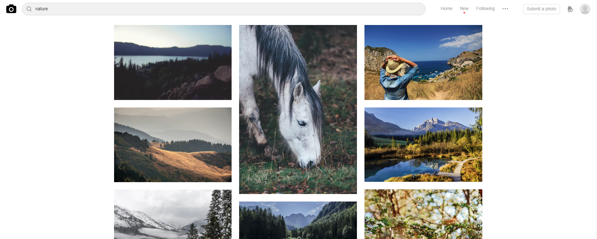 Unsplash