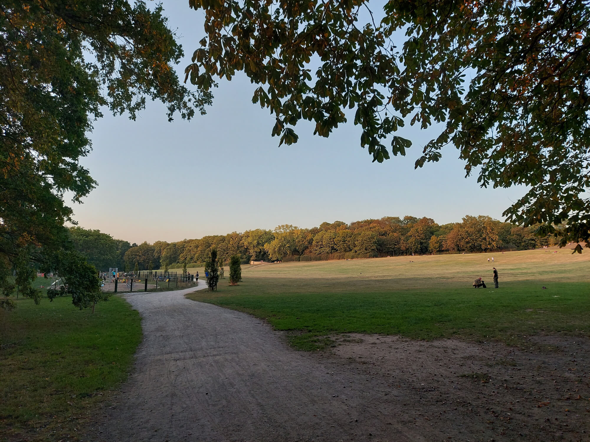 A view from my walk