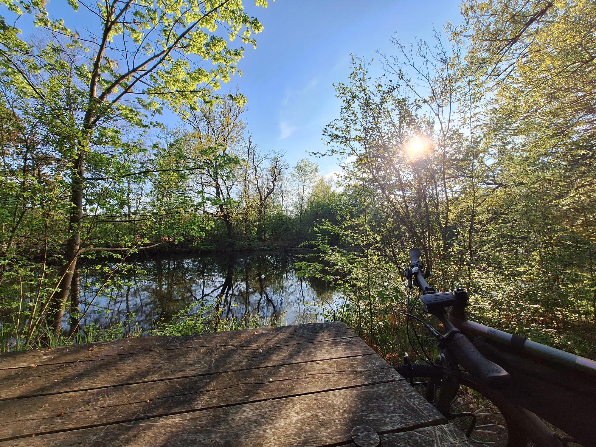 

AI generated caption: Wooden dock extending into calm water, surrounded by trees.