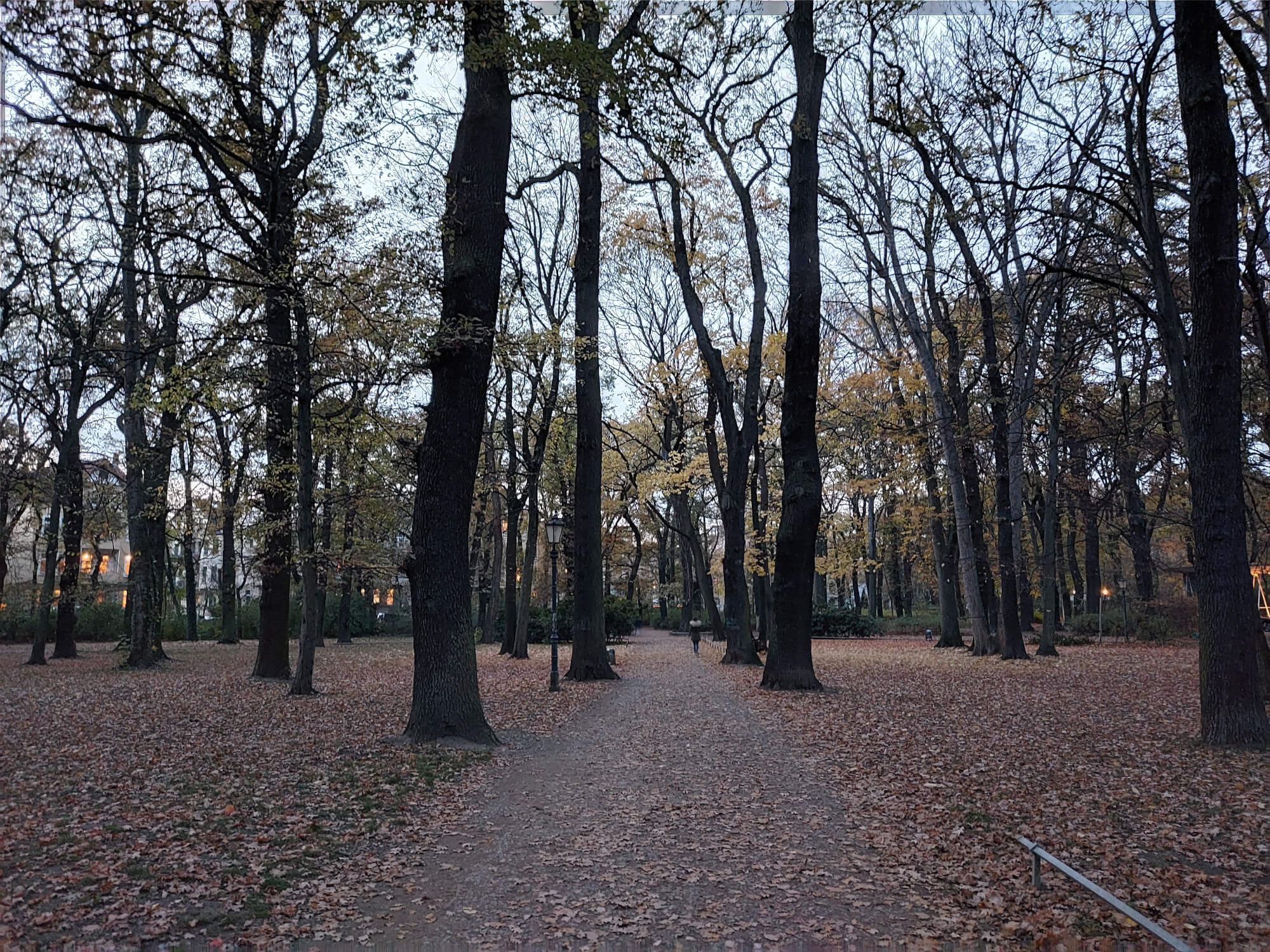 A photo from the park