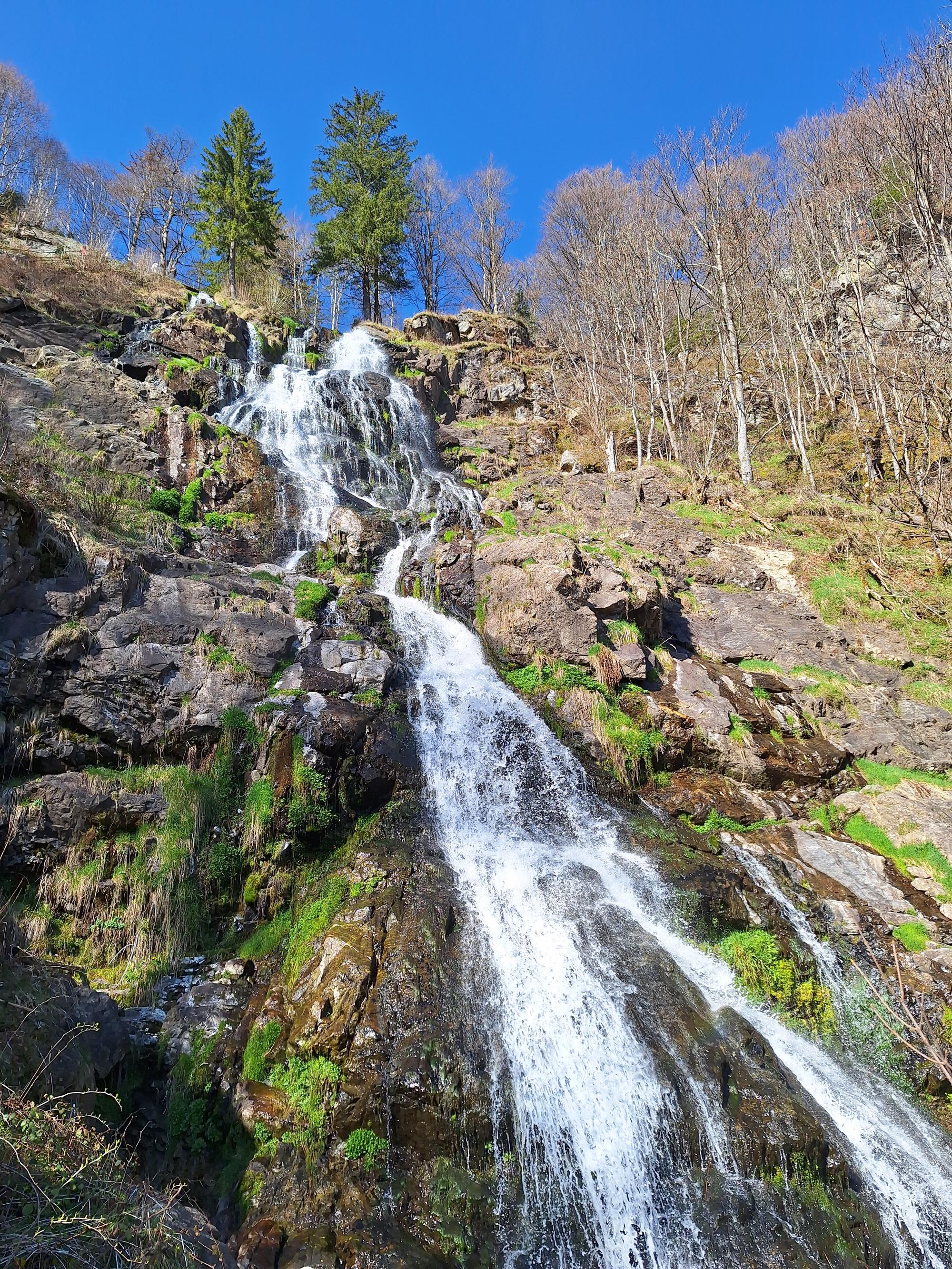 

AI generated caption: Waterfall cascading down a rocky, moss-covered hillside.