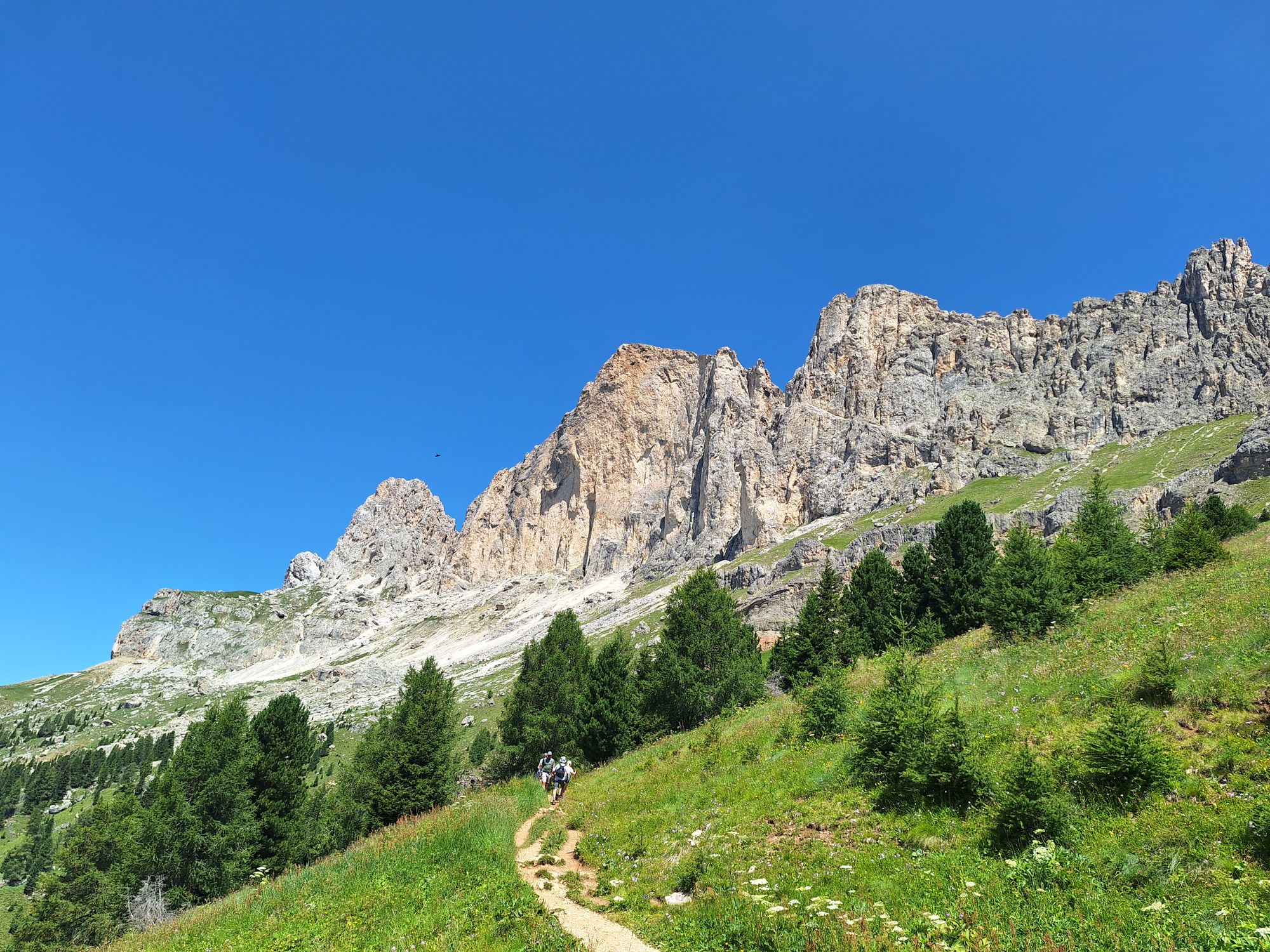 Panoramic path at the foot of the Rosengarten rocks Panoramic path at the foot of the Rosengarten rocks