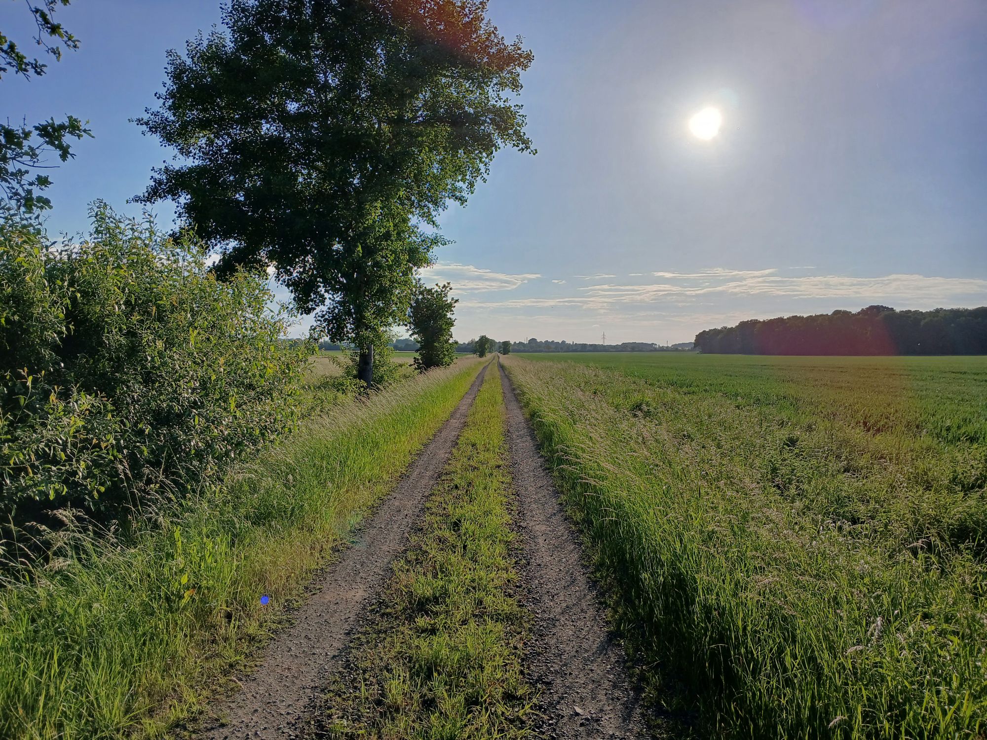 AI generated caption: Dirt path leading through grassy fields under bright sun. AI generated caption: Dirt path leading through grassy fields under bright sun.