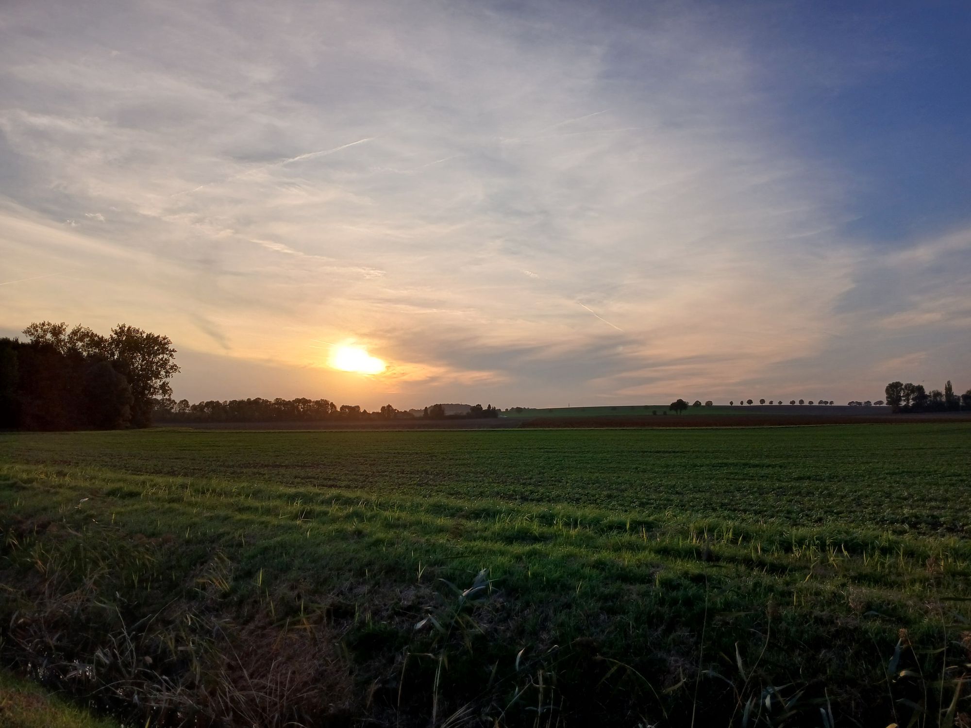 AI generated caption: Sun setting over open green field. AI generated caption: Sun setting over open green field.