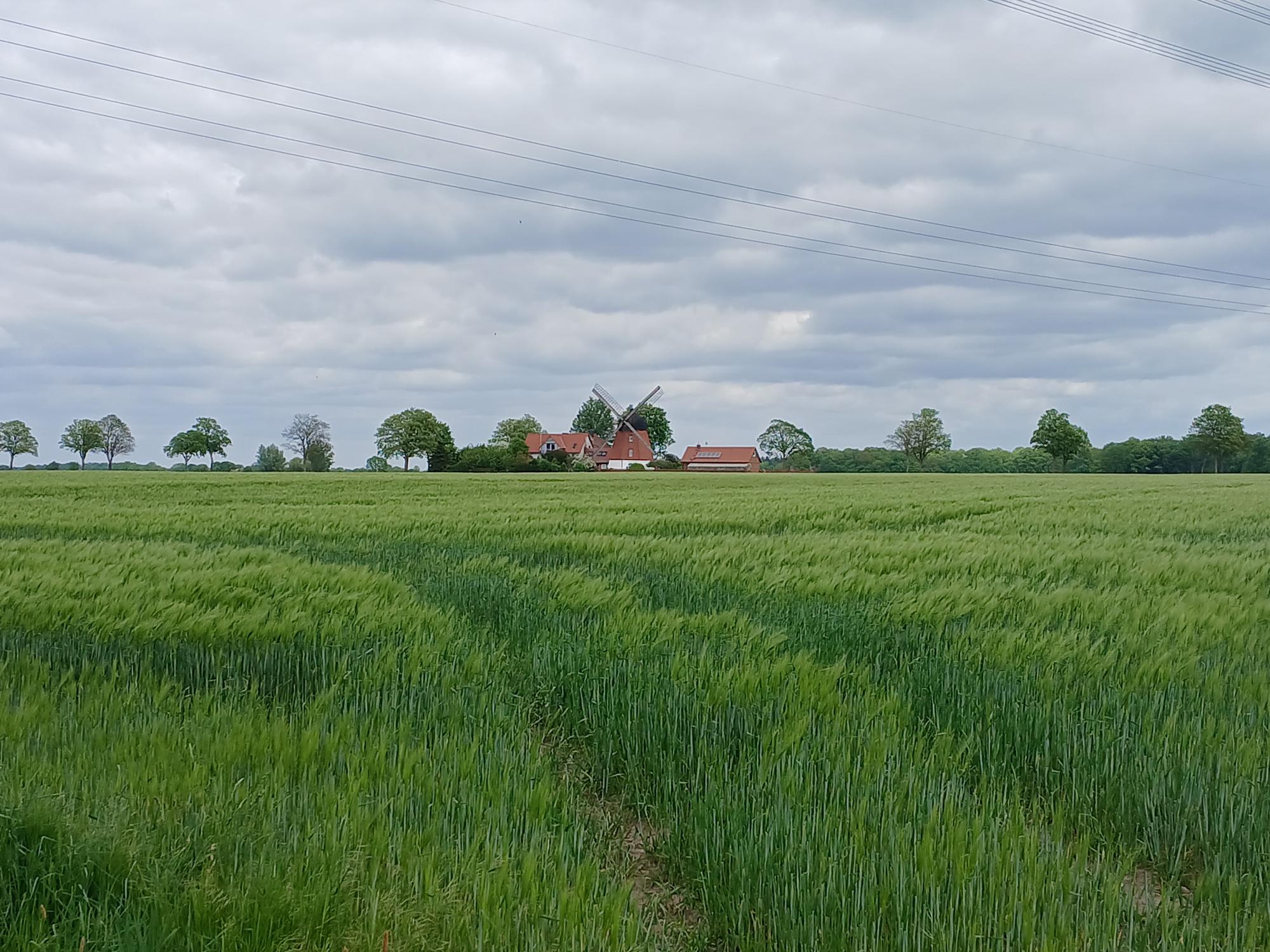 

AI generated caption: Windmill in green field under cloudy sky