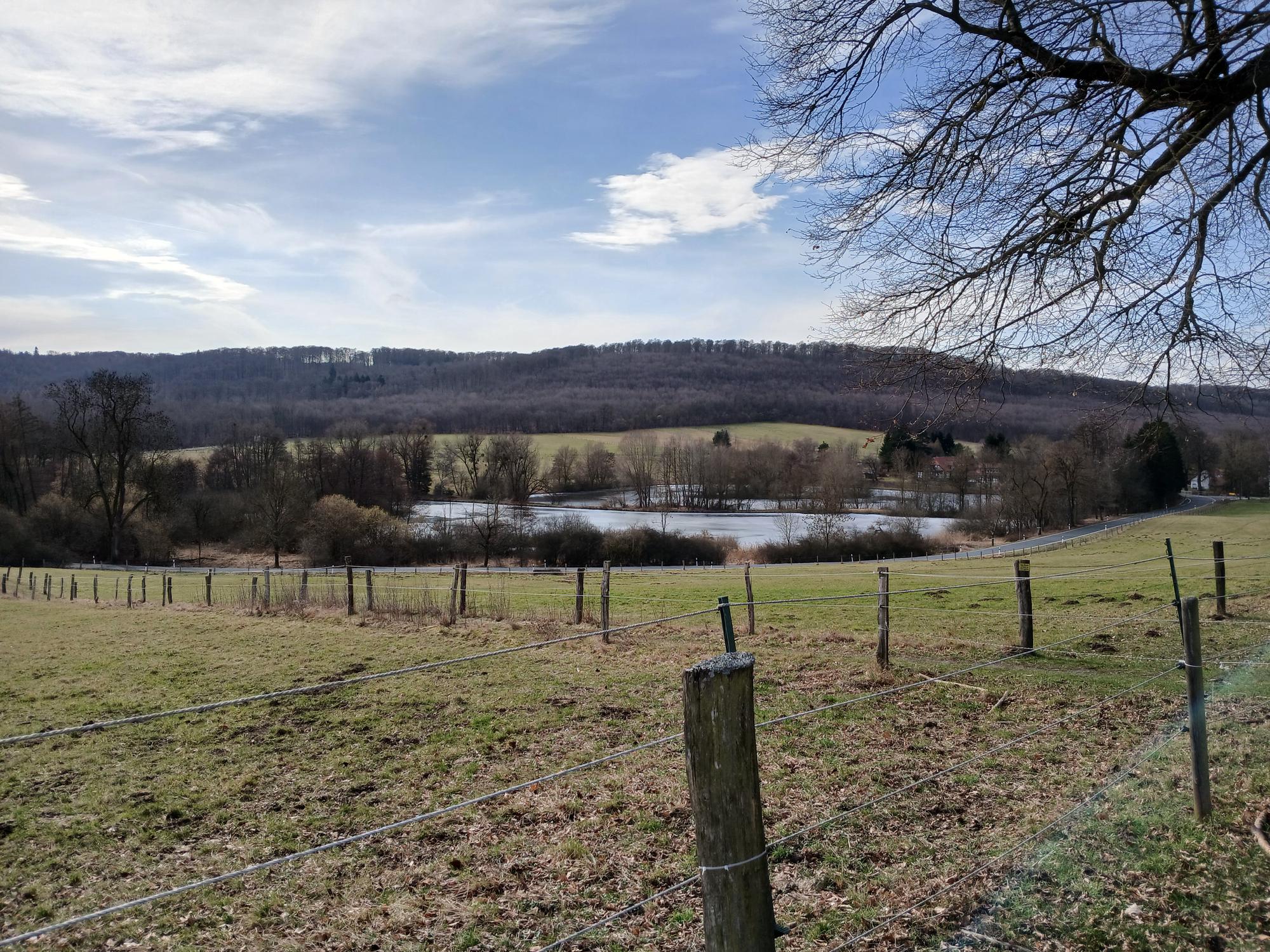 

AI generated caption: Fenced pasture with pond and rolling hills in background.