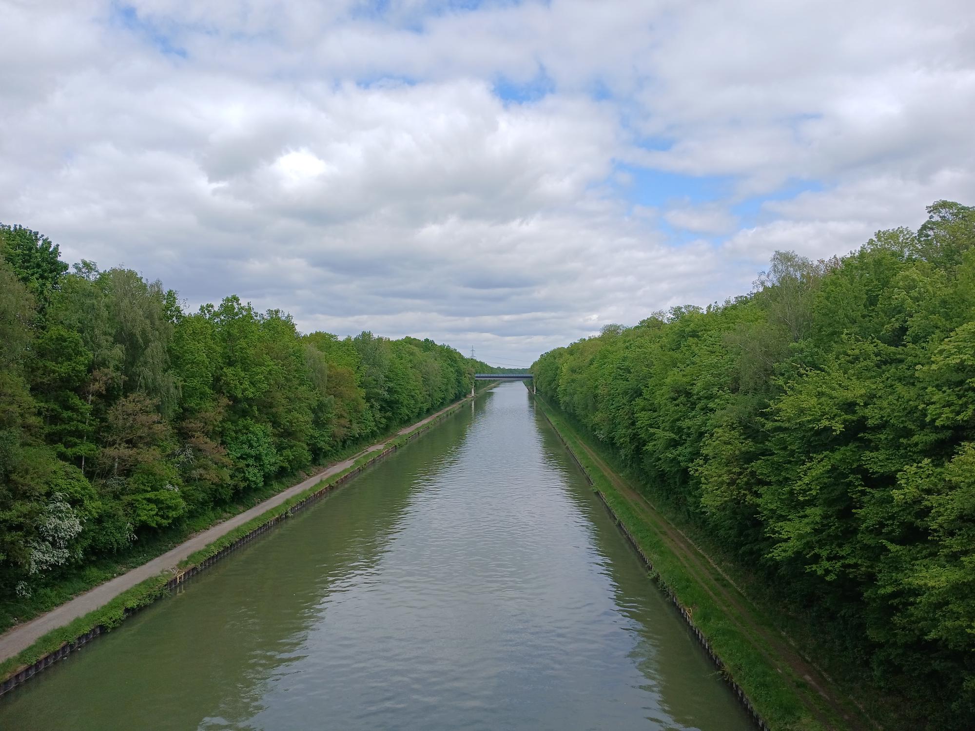 

AI generated caption: River flanked by dense green trees.