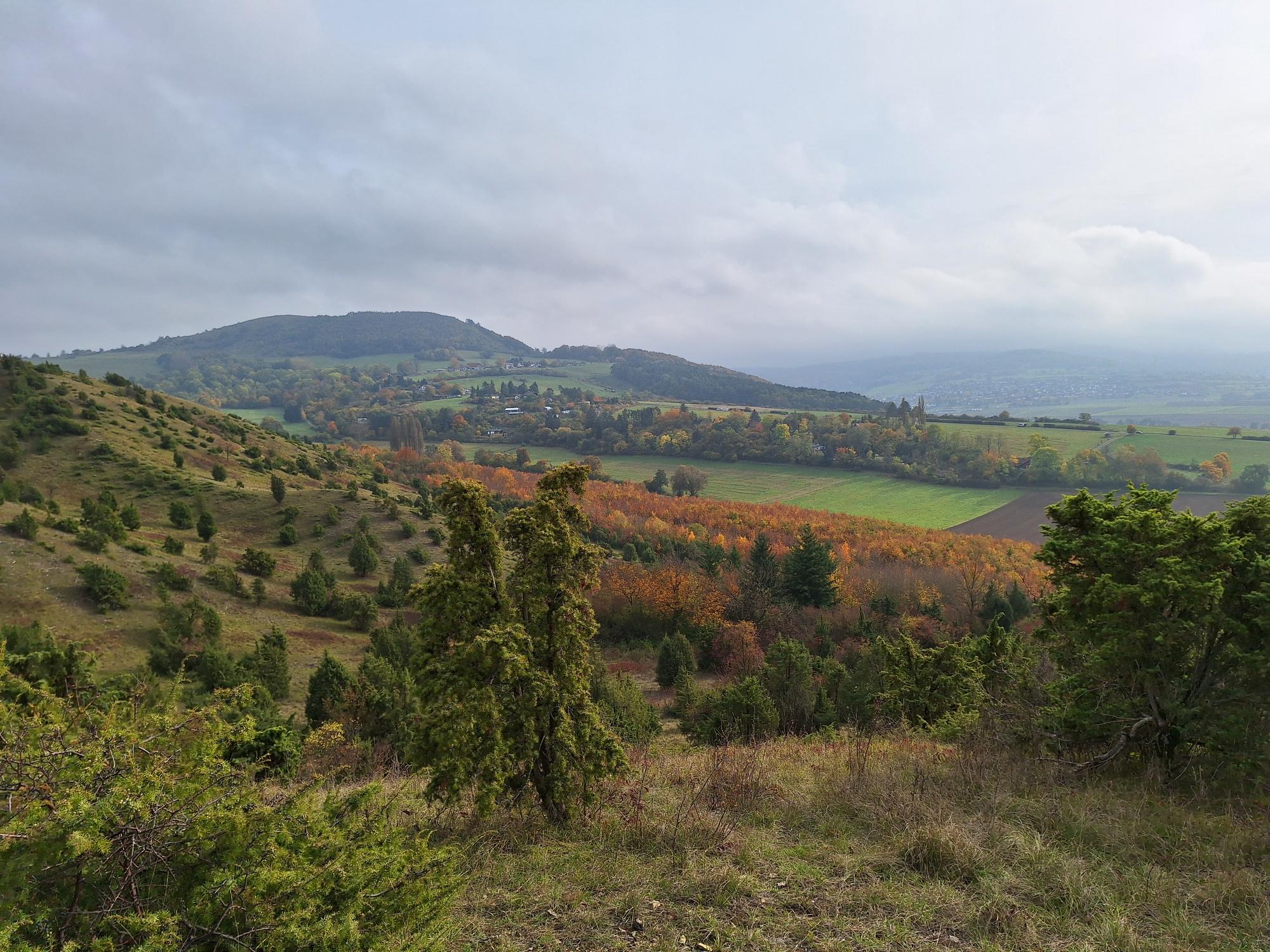 Colorful trees showing it&rsquo;s really autumn already