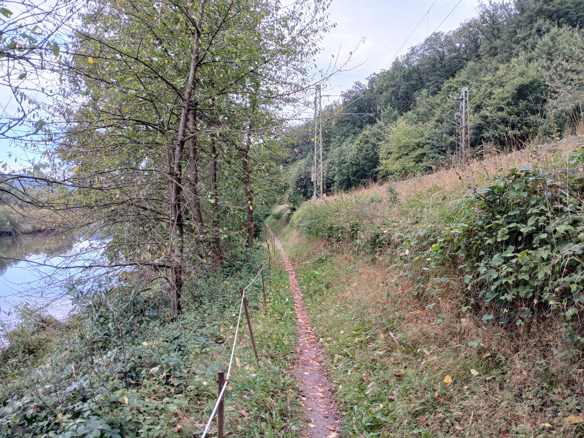 The narrow path I had to ride between the Fulda and the Eder, next to a train track on the right and the Eder on the left