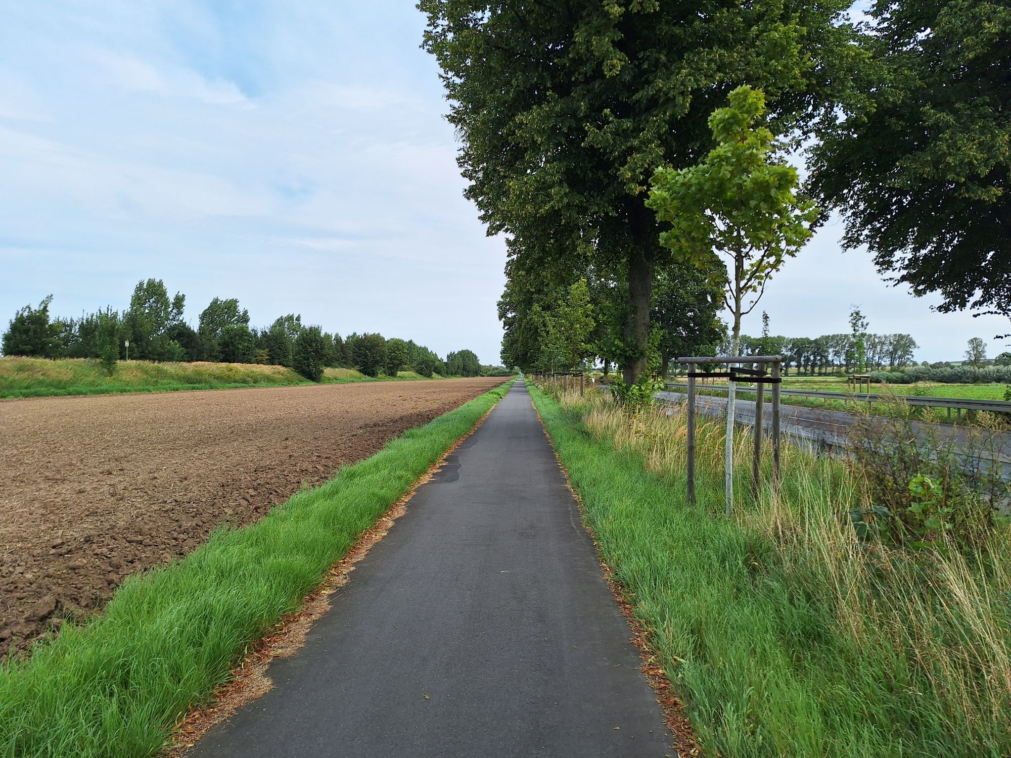 Good cycle path on the third day Good cycle path on the third day