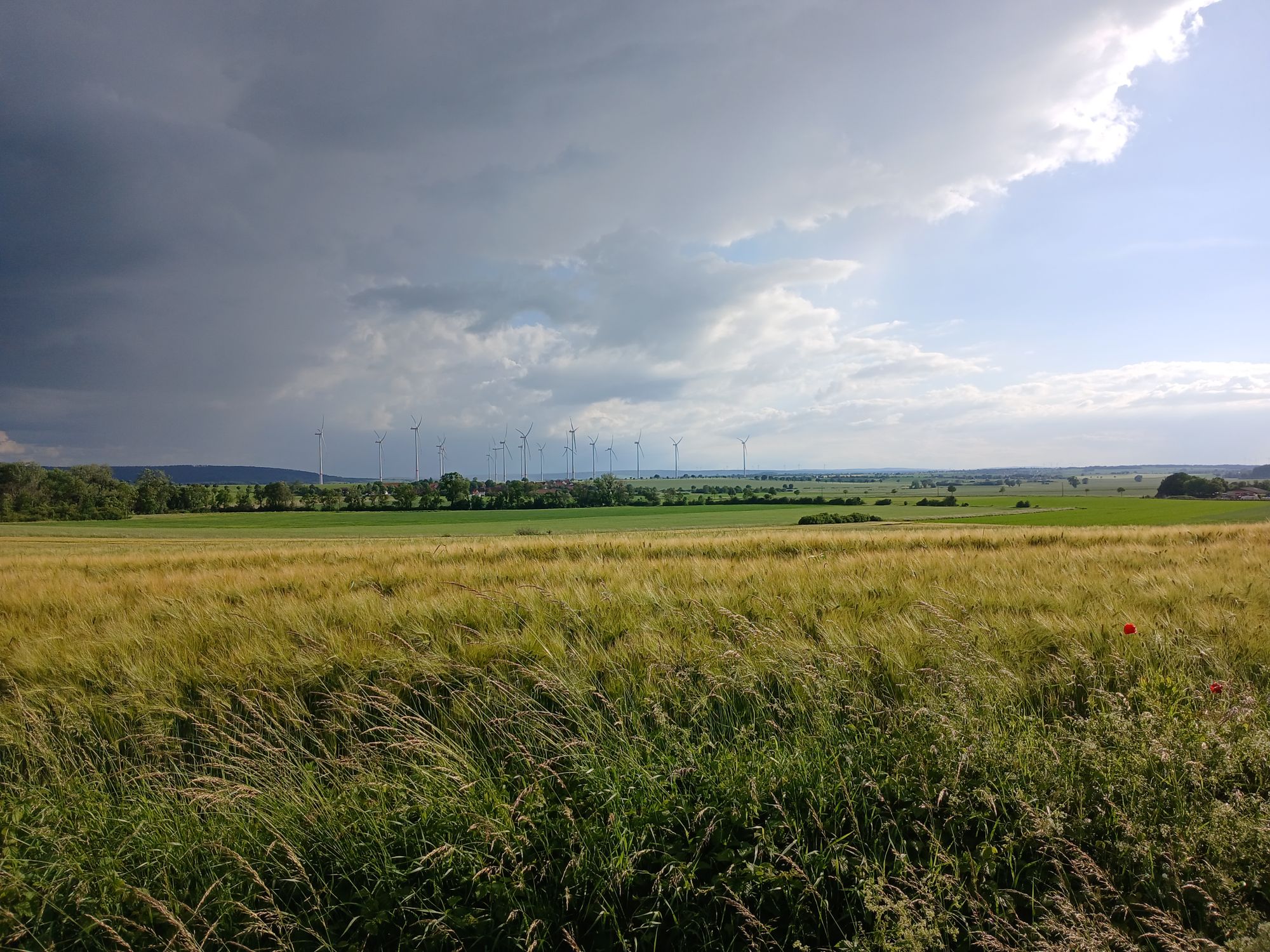 AI generated caption: Golden wheat field under stormy sky. AI generated caption: Golden wheat field under stormy sky.