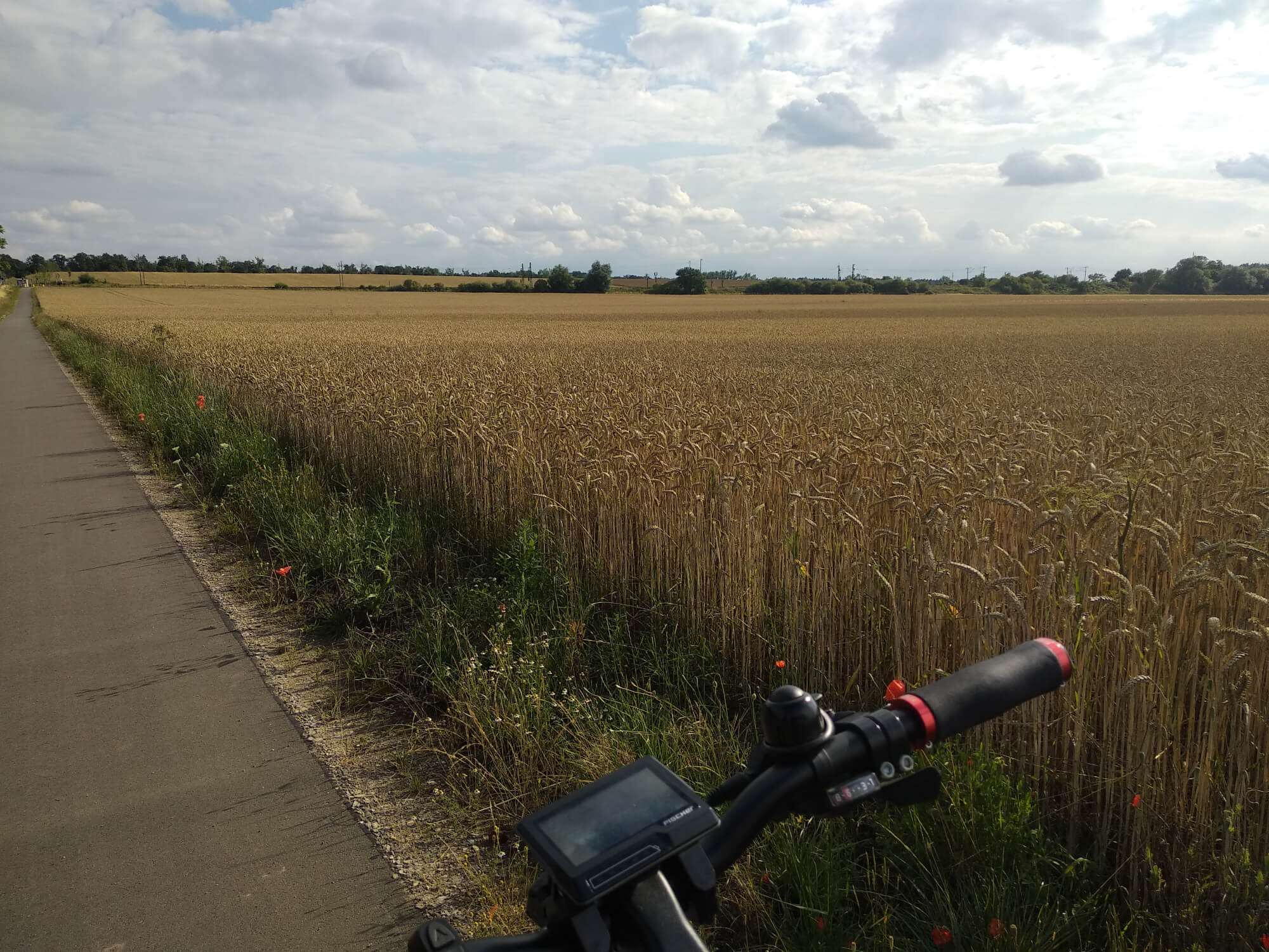 Im Vordergrund mein Fahrradlenker, dahinter ein Feld